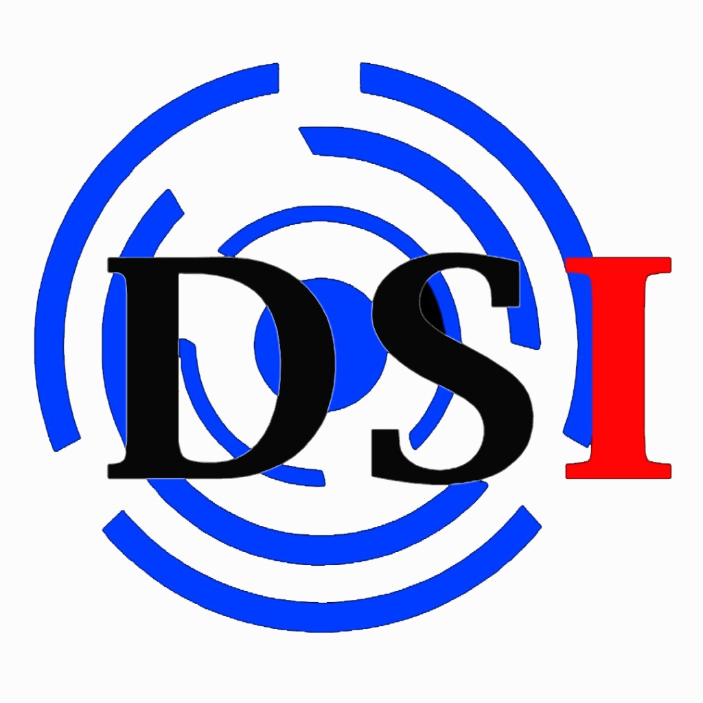 Logo DSI